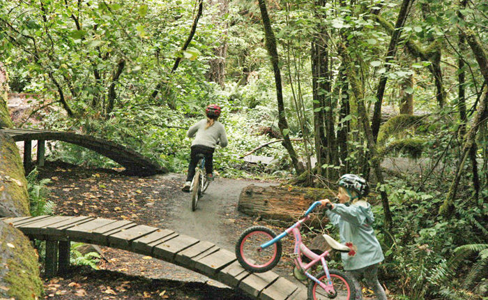 goldstream cycle