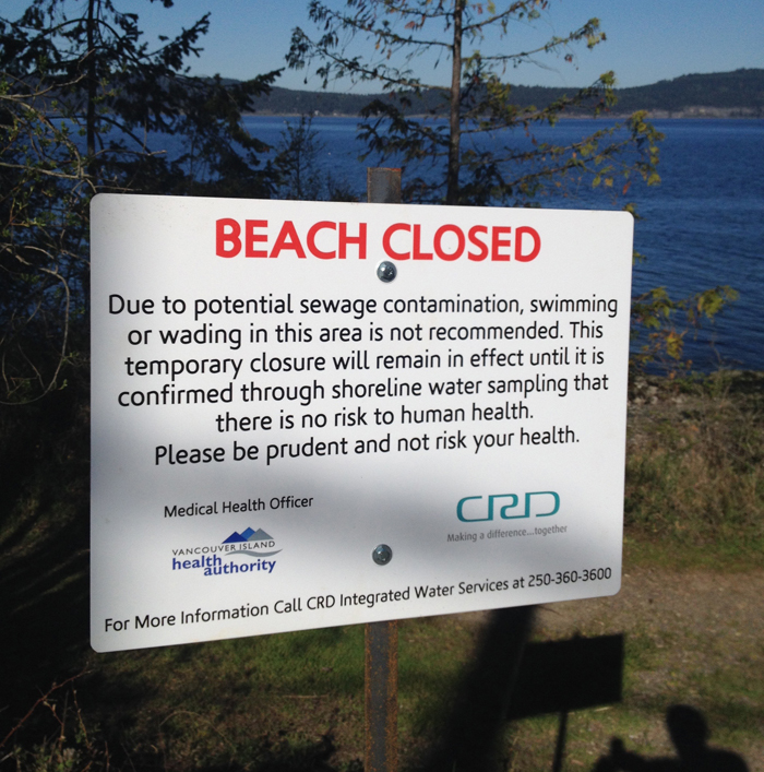 Outfall pipe failure leads to effluent in Maliview Drive area beach