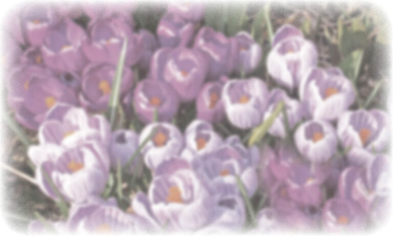 MEYER, Verna Marie