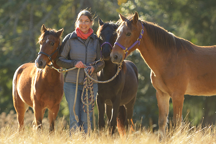 ‘Forgotten’ horses find refuge on Salt Spring