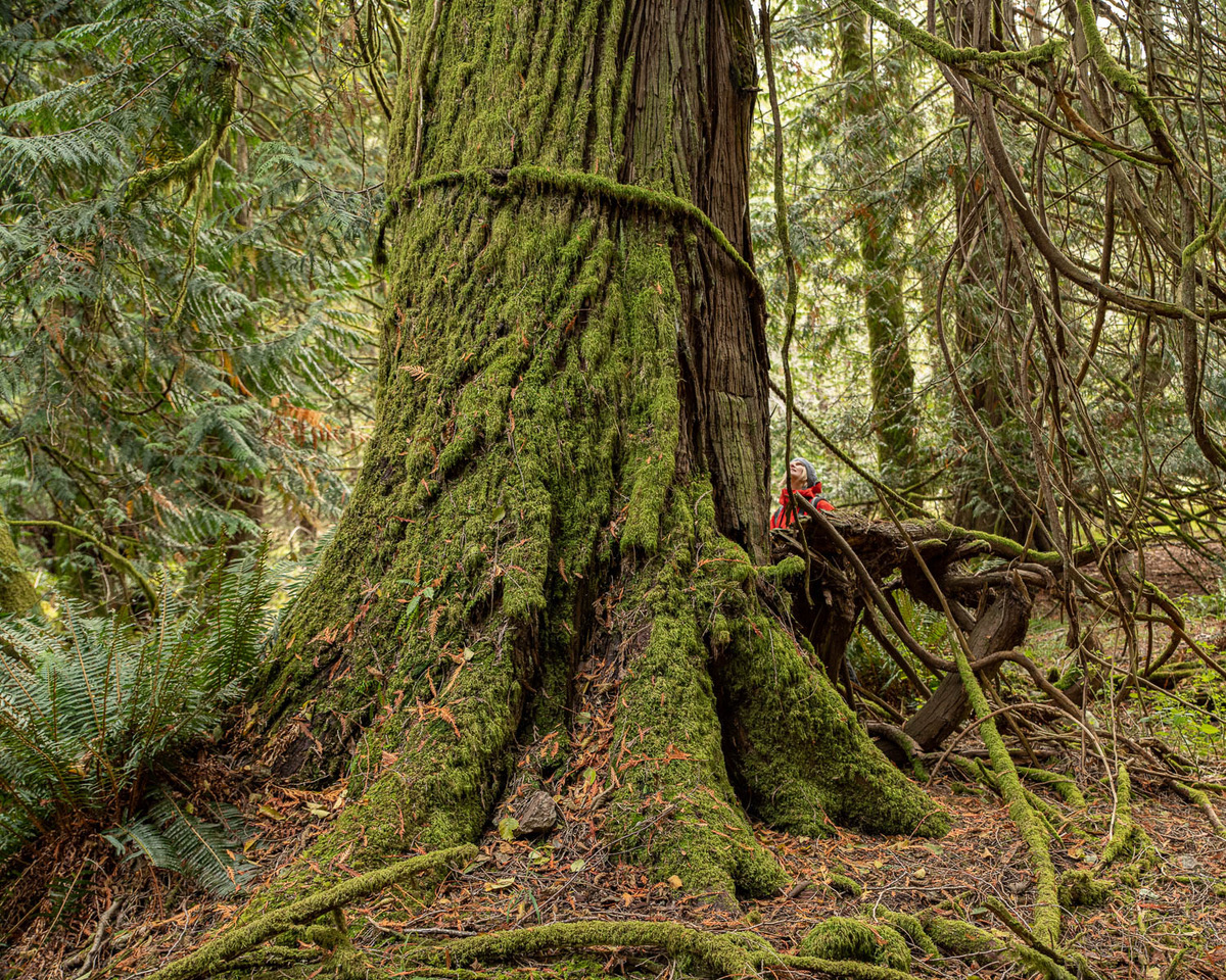 Lumley Deal Inked, Funding Needed - Gulf Islands Driftwood