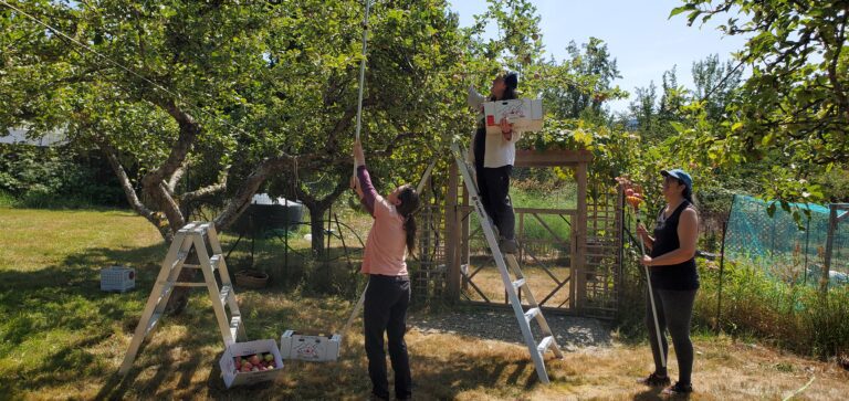 Grow Local targets island’s extra fruit crop