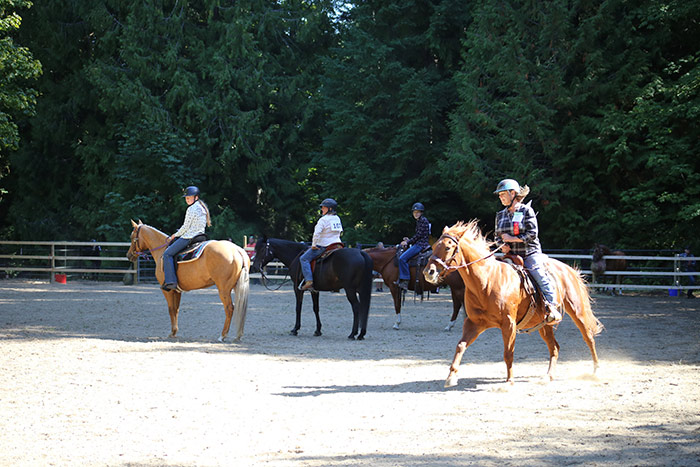 Horse show participants encouraged