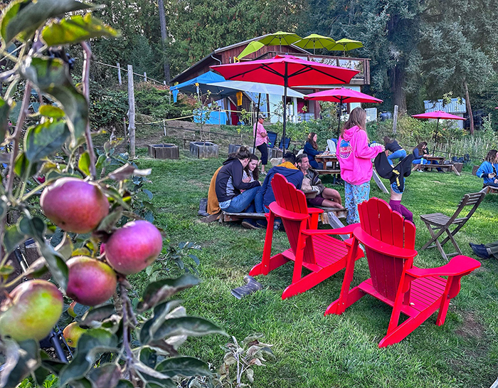 Apple festival celebrates agricultural heritage