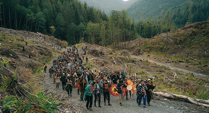 Fairy Creek doc screens at ArtSpring