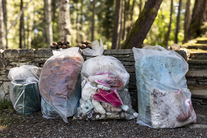 Let’s Pick It Up, Salt Spring! 2024 campaign