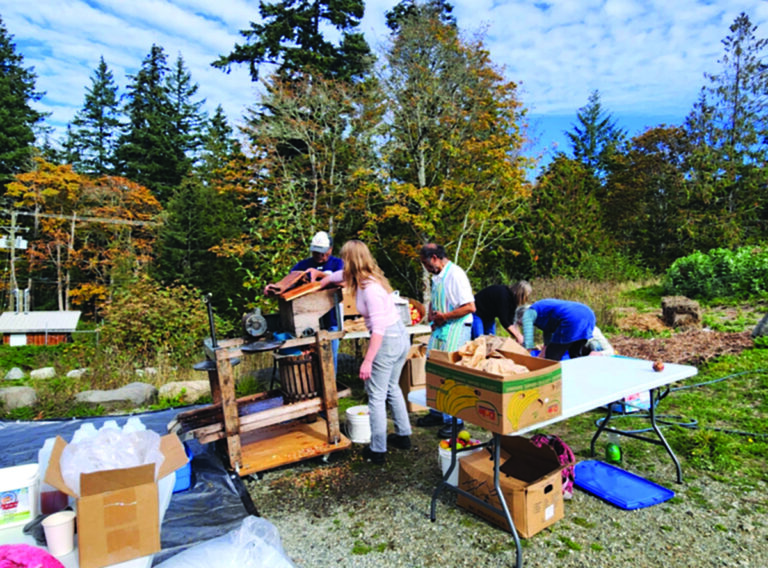 From branch to basket: harvest season begins