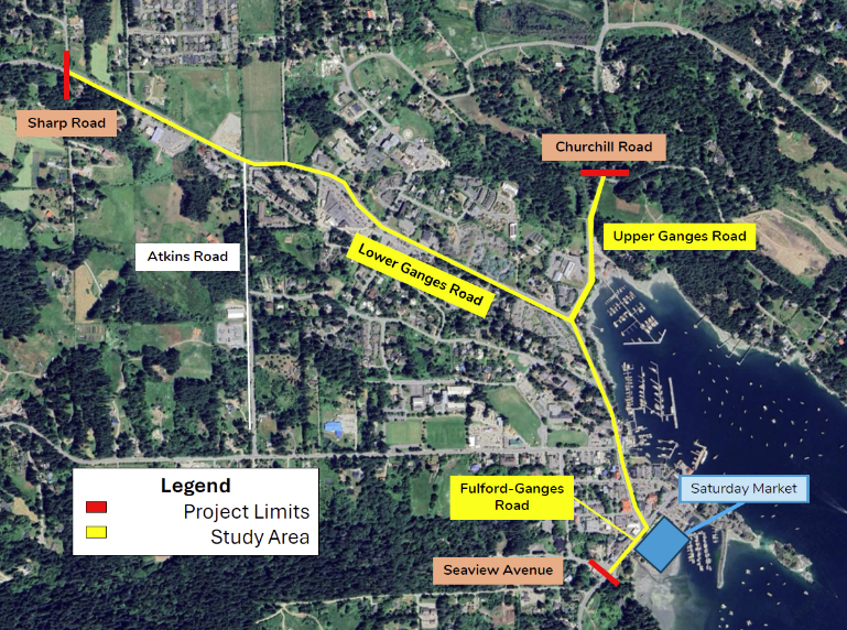 Input invited for Ganges crosswalk study