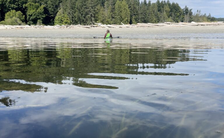 Eelgrass map plans shelved, satellite data incoming