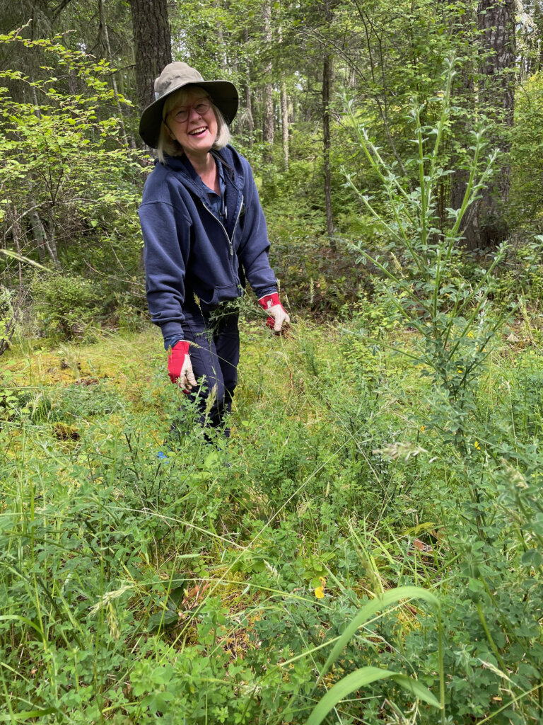 Island volunteer series makes debut