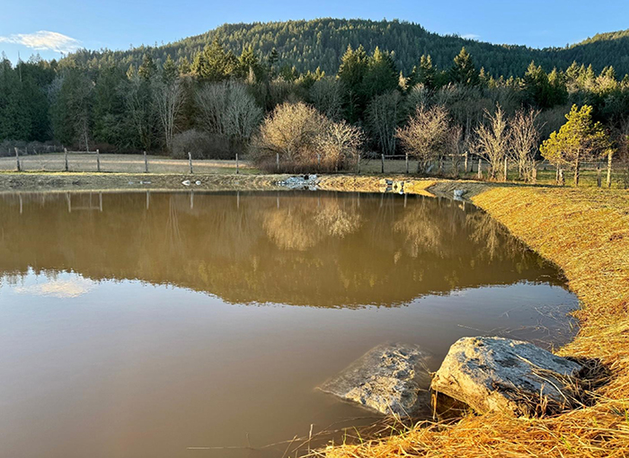 Fire district creates Fulford hall pond