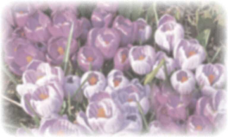 SMITH, Florence Beryl