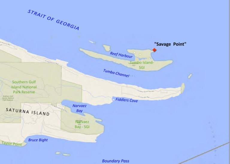 Point no longer referred to as ‘savage’