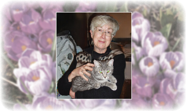 STEVENSON, Judi (Judith Claire)