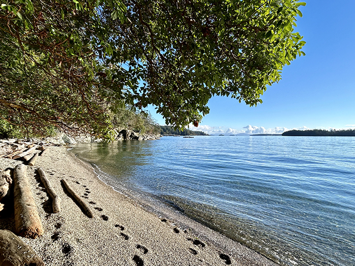 SȾÁUTW̱ land project plans shared